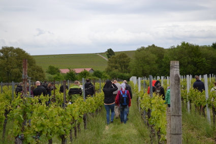 Betriebsausflug und Weinwanderung