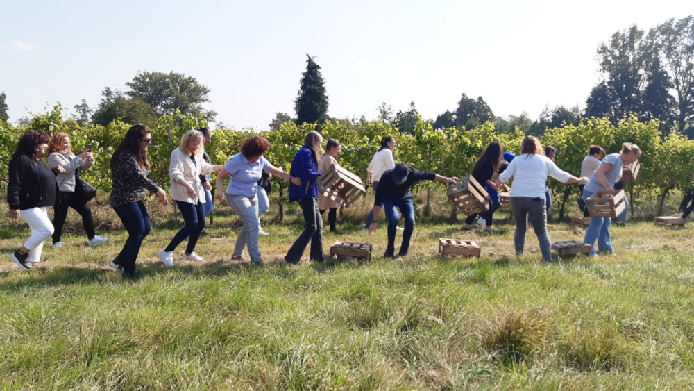 teambuilding im weinberg mit rallye in der pfalz